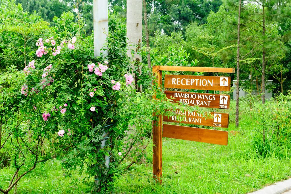 Flamingo Dai Lai Resort Ngoc Quang المظهر الخارجي الصورة